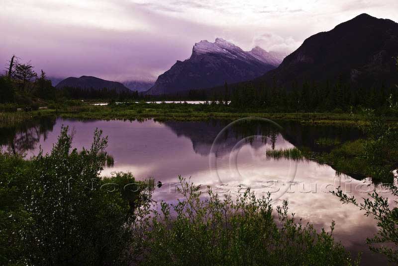 Canadian Rockies 10